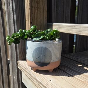 Beach Sunset Speckeld Modern Footed Glazed Ceramic Pottery 5.5" Planter